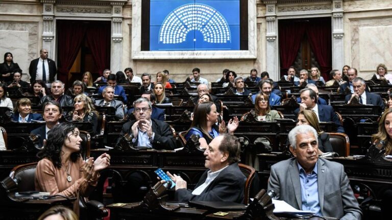 Diputados: la interna de UP quedó expuesta en la votación de Emergencia en Discapacidad