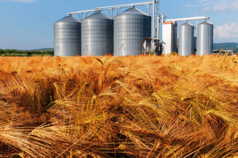 Agro en Córdoba: créditos en dólares crecen 65% gracias a la estabilidad nacional