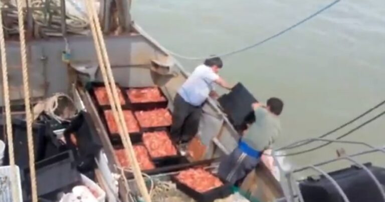 Cero impuestos: una provincia sale a competir con Tierra del Fuego para ganar inversiones