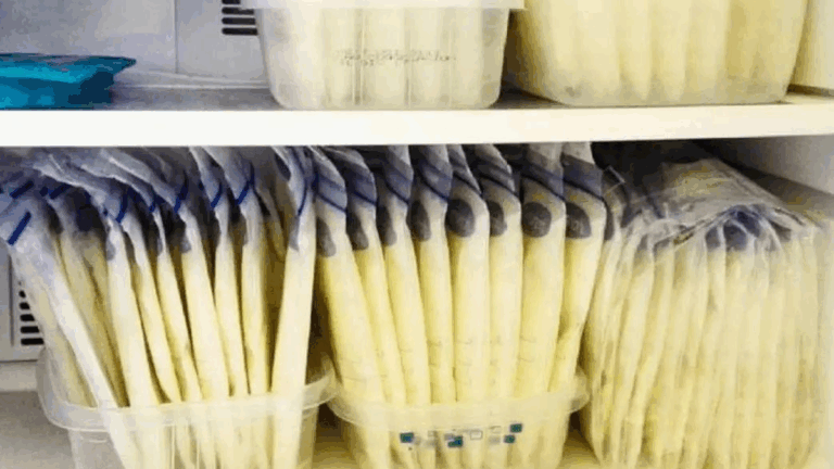 Cuando la lactancia se vuelve negocio: fisicoculturistas compran leche materna en línea