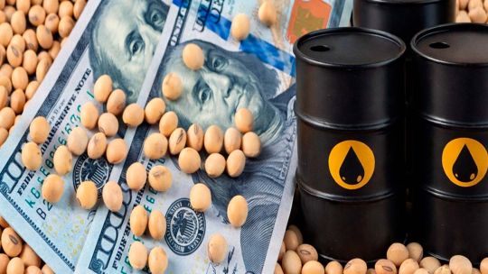 Gráfico ilustrativo de una planta de soja y una mazorca de maíz con símbolos de precio y fertilizante de fondo.